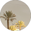 اسامه الشعيبي