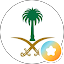 A Al-enazi