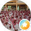 صالح العواجي