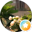 Marim