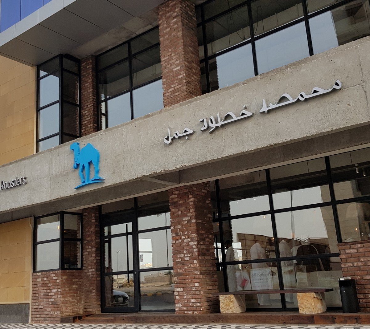Camel Step: مراجعة شاملة وأفكار حول أفضل خيارات القهوة العربية